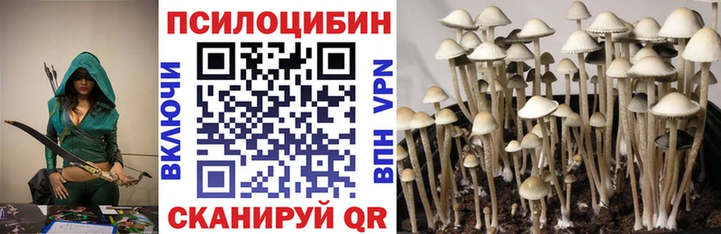 Галлюциногенные грибы прущие грибы  купить наркоту  Суровикино 